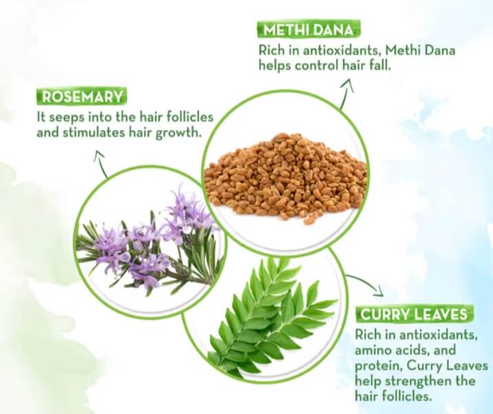 Rosemary hair growth